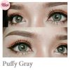 Puffy Gray