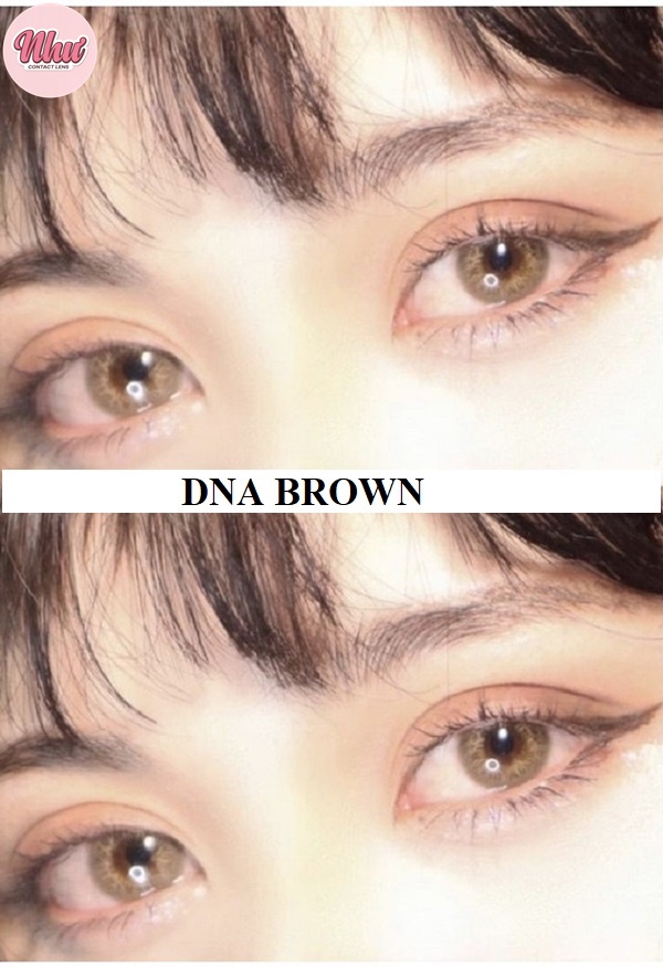 Lens DNA brown