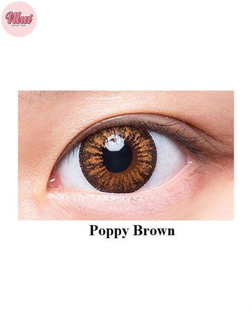 Lens Poppy Brown