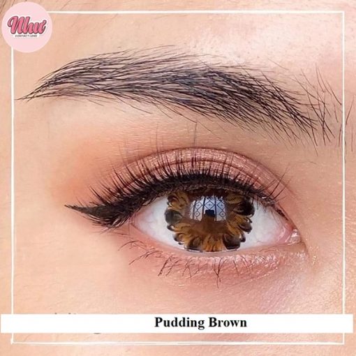 Lens Pudding Brown